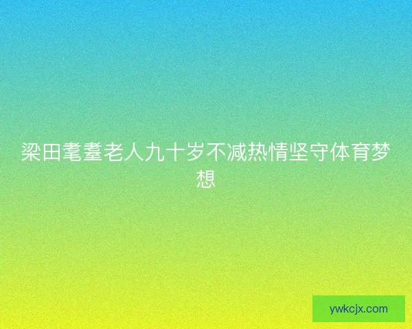 梁田耄耋老人九十岁不减热情坚守体育梦想